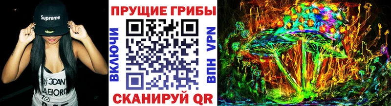 Галлюциногенные грибы Magic Shrooms  Купить где  Лосино-Петровский 